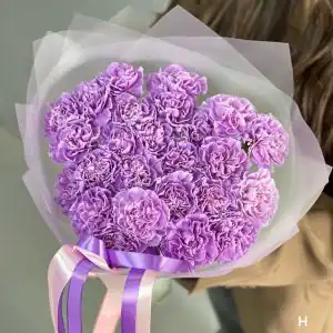 сиреневые диантусы