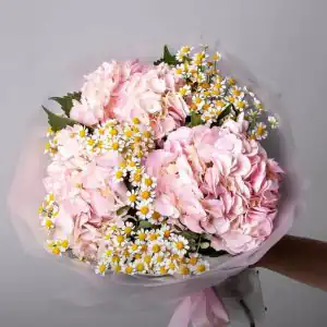 Розовые гортензии с ромашкой